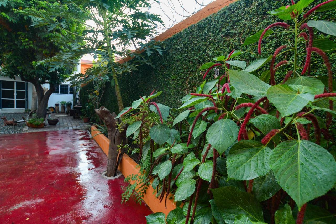 Bungalows Teka زيهواتانيجو المظهر الخارجي الصورة